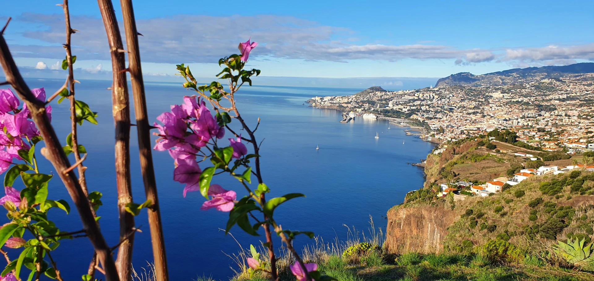 Lazareto Viewpoint – Madeira Tour
