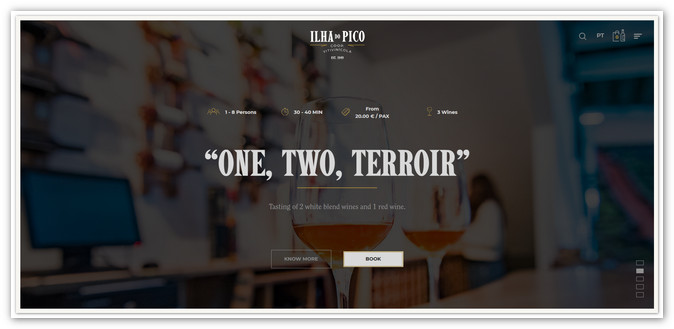 zur Webseite von Picowines
