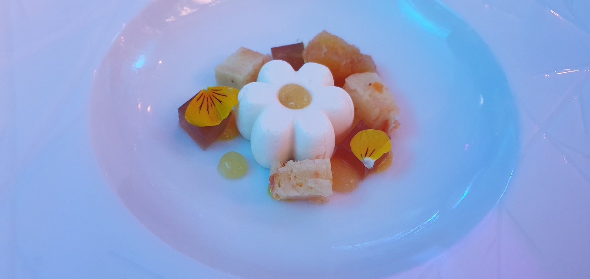 Dessert in Form einer weißen Blume mit gelber Mitte, garniert mit essbaren Blüten und Fruchtstücken auf einem weißen Teller.
