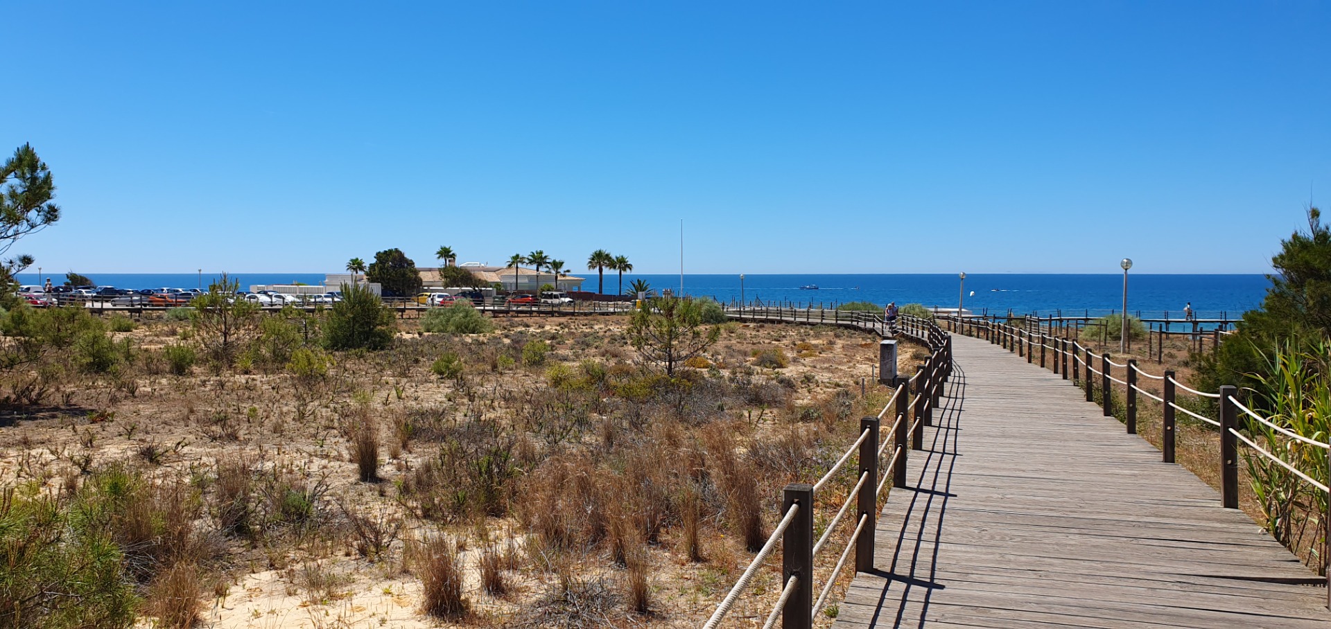 Holzsteg am Strand Algarve mit Geländer, Dünenvegetation, Palmen und Parkplatz am Meer unter klarem blauen Himmel.