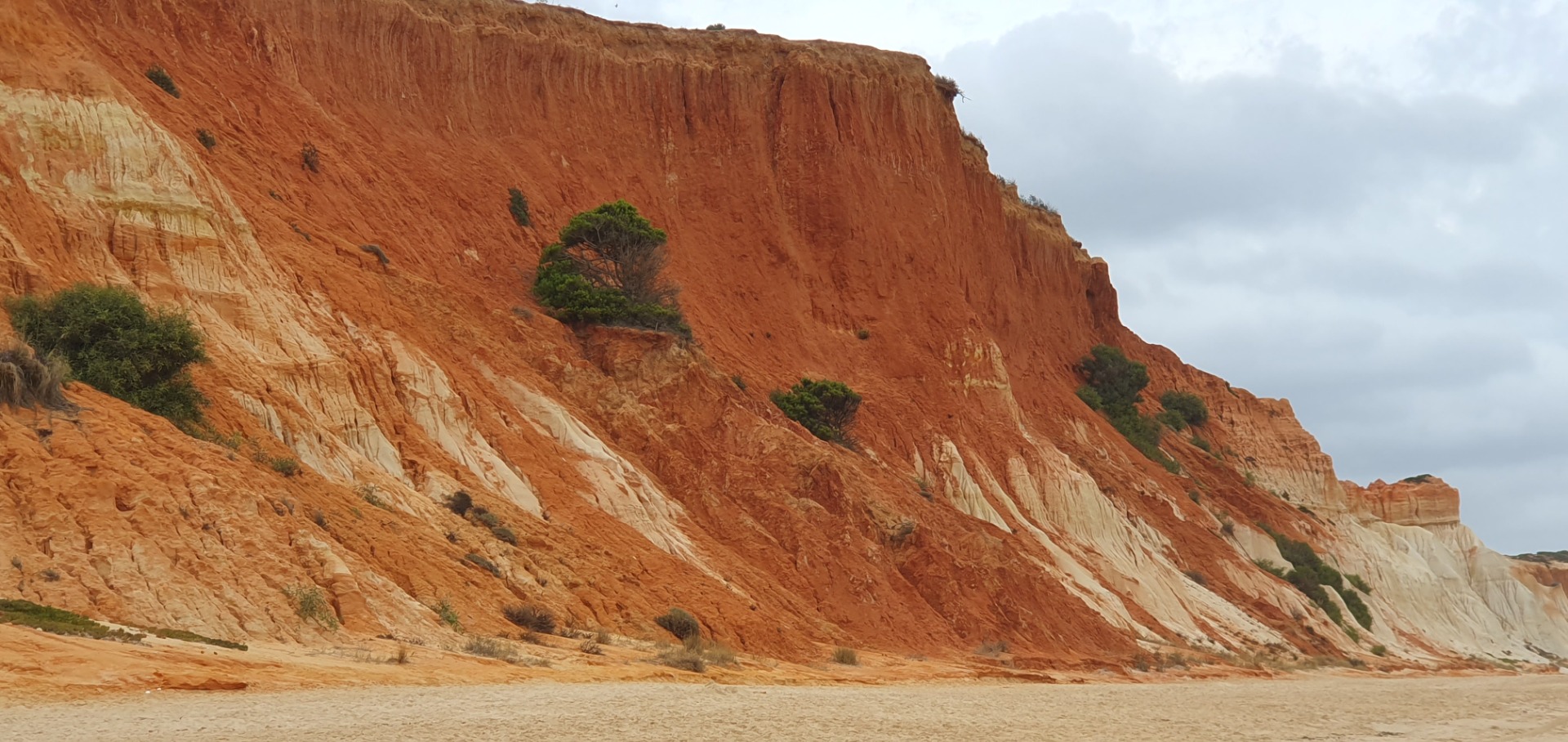 Rote Sandsteinfelsen mit Terrassen und vereinzelten Bäumen, bewölkter Himmel über einer Küstenlandschaft.