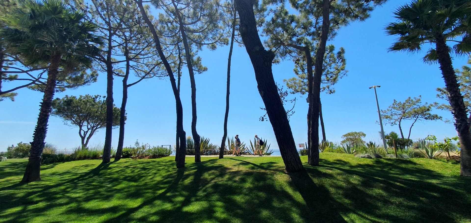 Sonniger Park mit hohen Bäumen, Palmen und grünem Rasen unter blauem Himmel, Spaziergänger im Hintergrund.