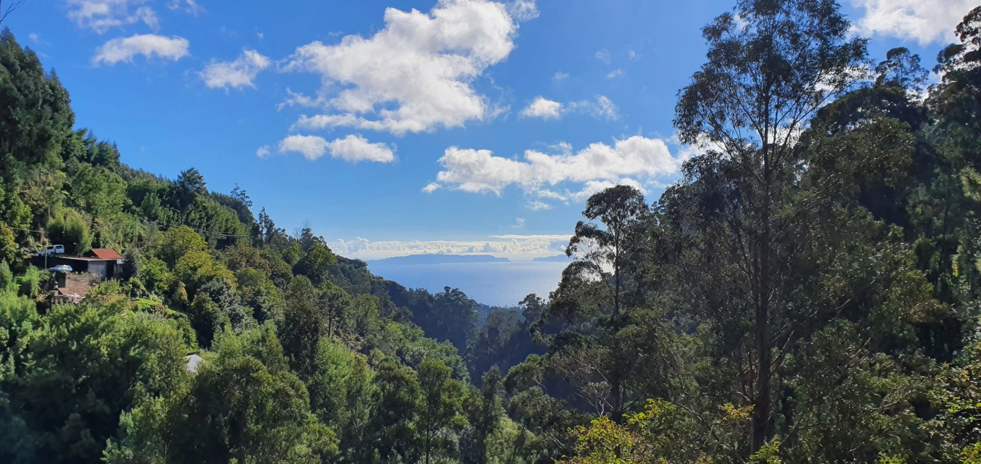 Küstenlandschaft auf dem Weg nach Santa Cruz, Madeira