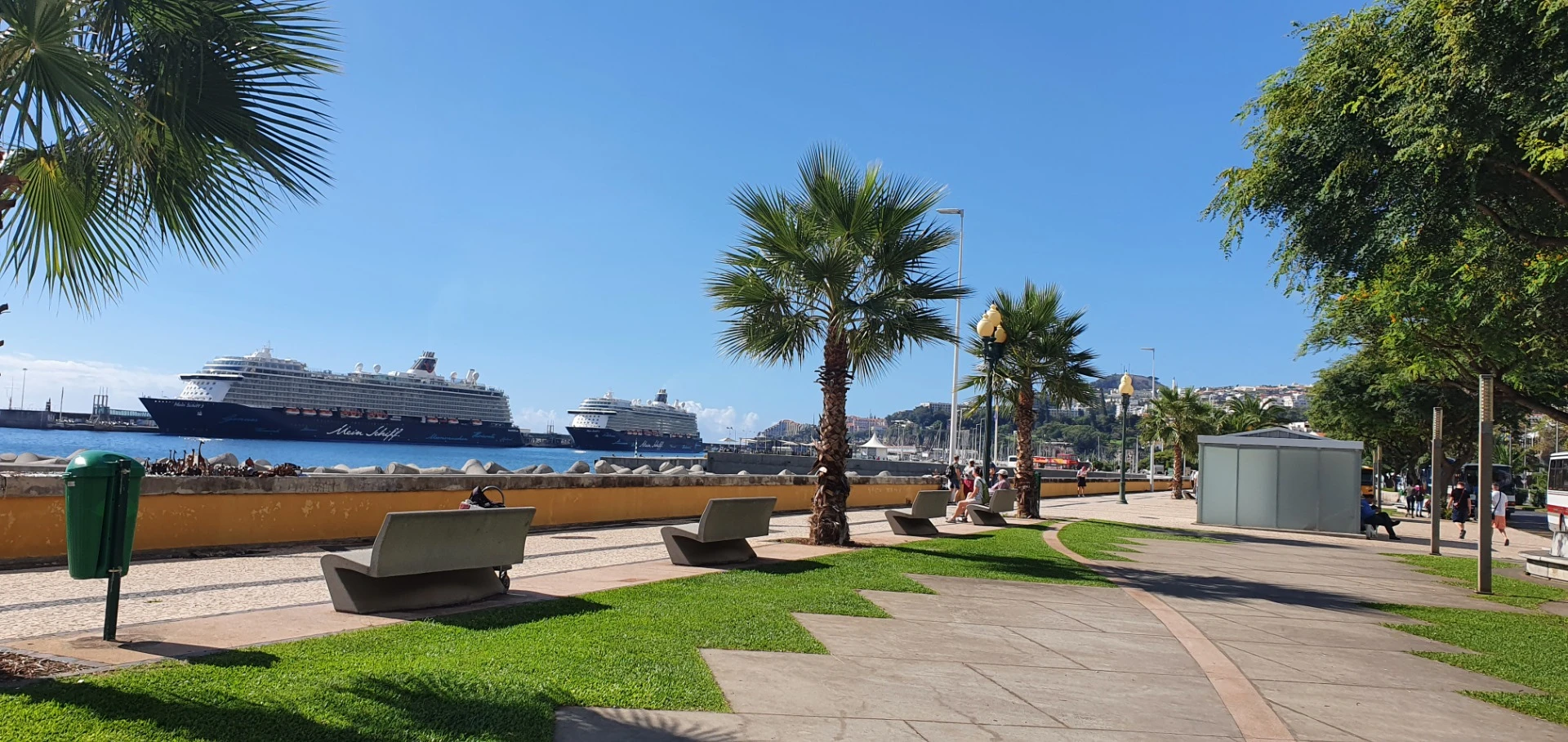 Hafenpromenade von Funchal mit Kreuzfahrtschiffen