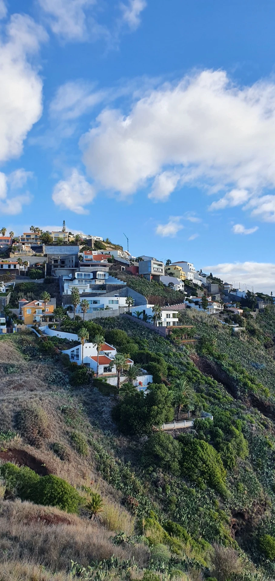Häuser an der Steilküste von Caniço und Garajau auf Madeira